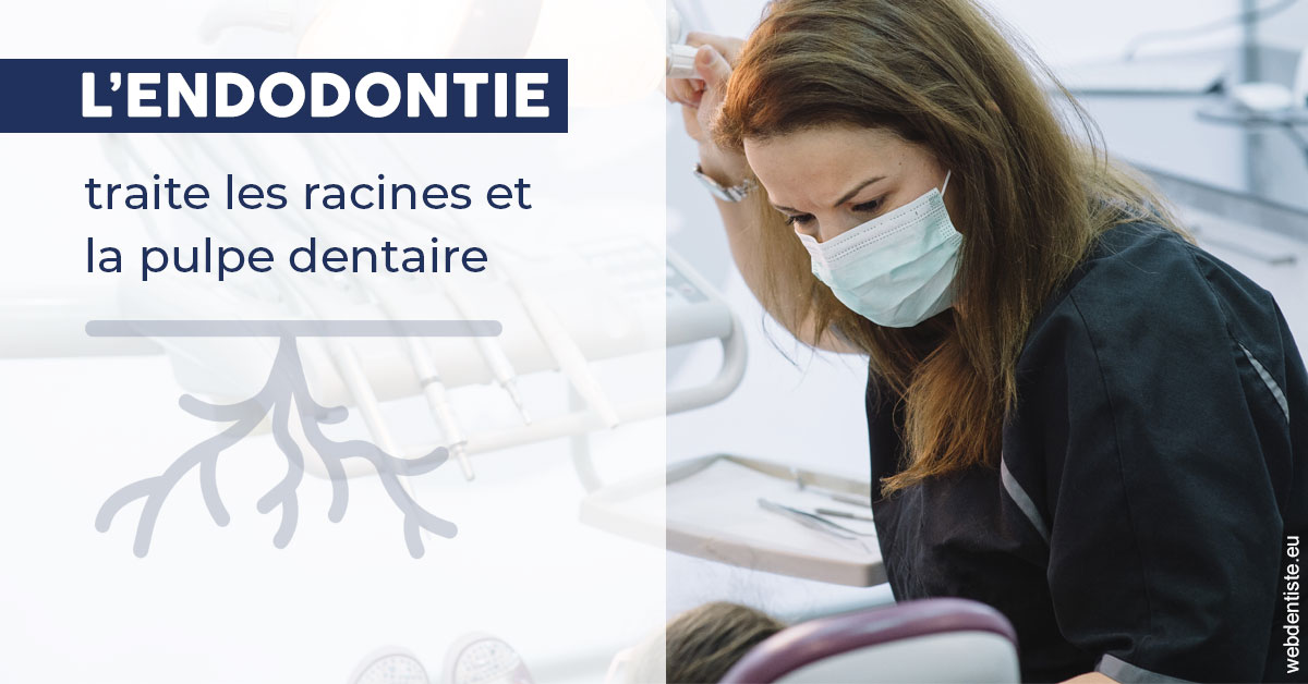 https://scp-cabinet-dentaire-drs-abehsera.chirurgiens-dentistes.fr/L'endodontie 1