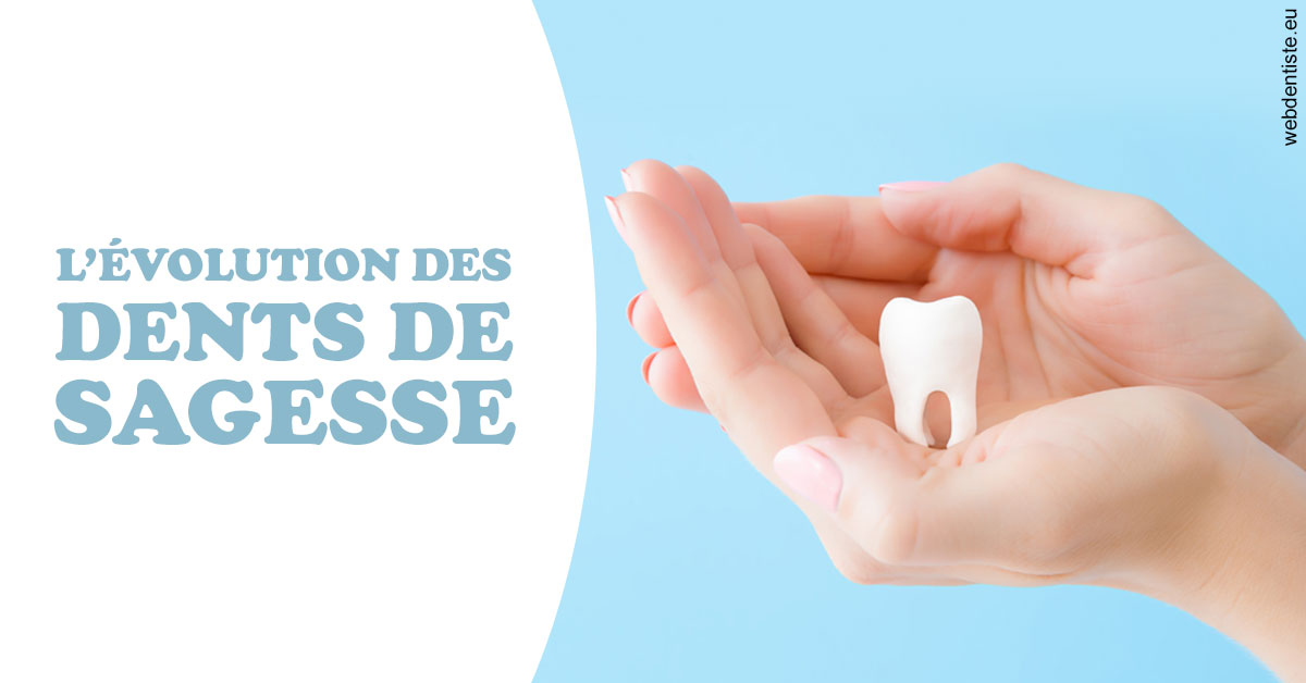 https://scp-cabinet-dentaire-drs-abehsera.chirurgiens-dentistes.fr/Evolution dents de sagesse 1