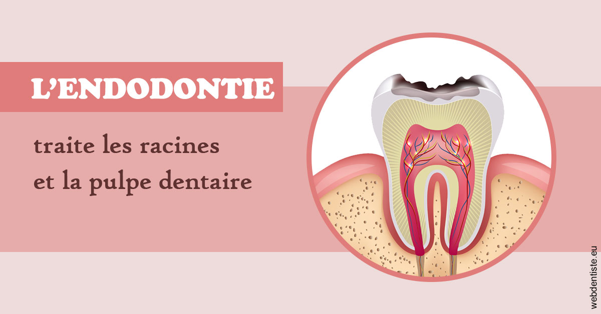 https://scp-cabinet-dentaire-drs-abehsera.chirurgiens-dentistes.fr/L'endodontie 2