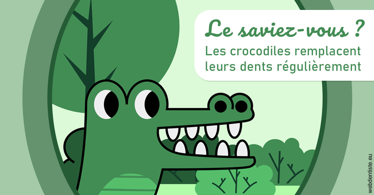 https://scp-cabinet-dentaire-drs-abehsera.chirurgiens-dentistes.fr/Crocodiles 2