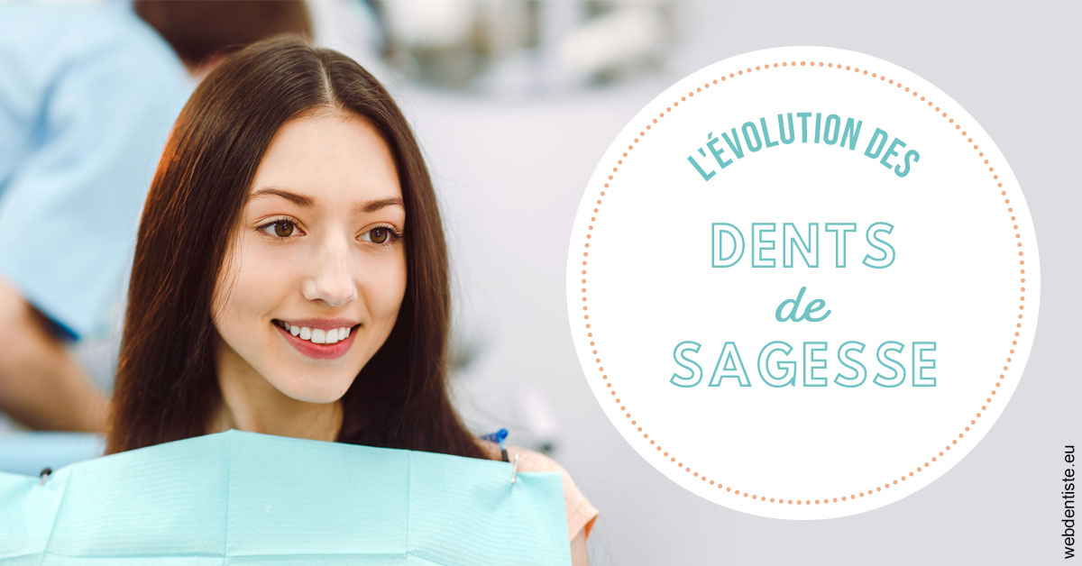 https://scp-cabinet-dentaire-drs-abehsera.chirurgiens-dentistes.fr/Evolution dents de sagesse 2