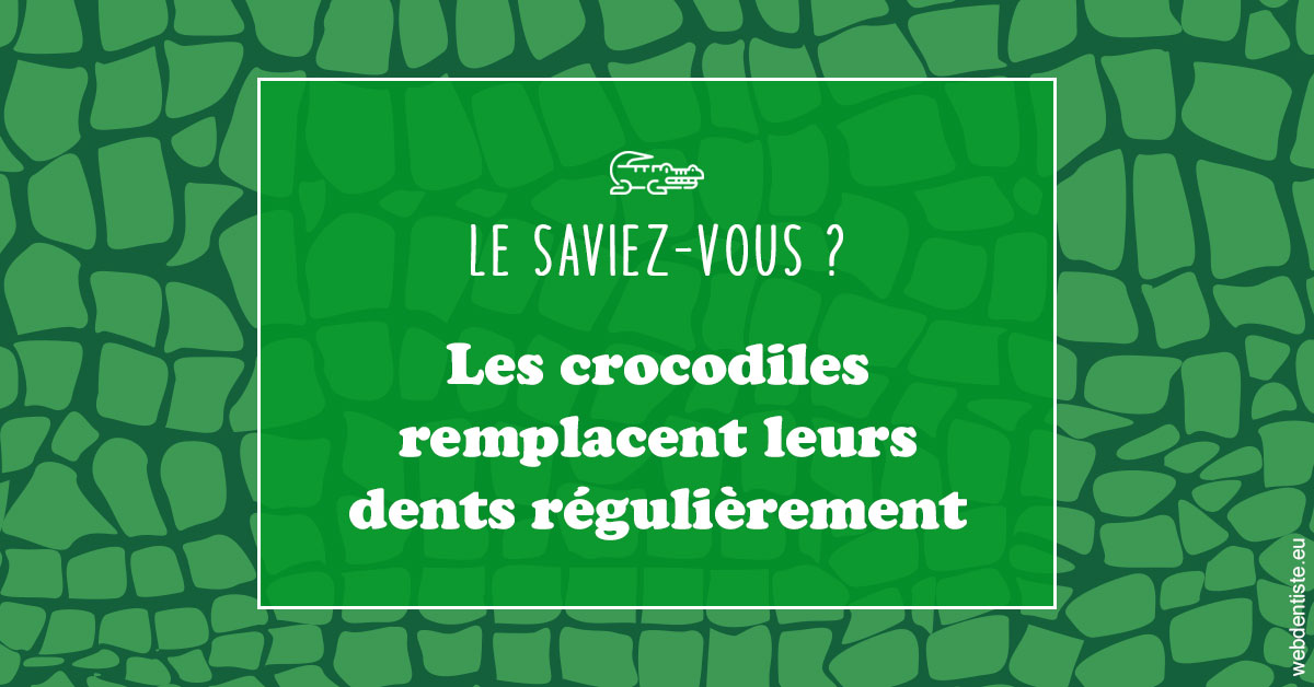 https://scp-cabinet-dentaire-drs-abehsera.chirurgiens-dentistes.fr/Crocodiles 1
